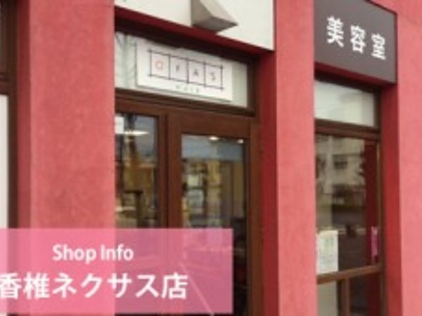 髪を理想の状態にするためのお手入れ法の画像